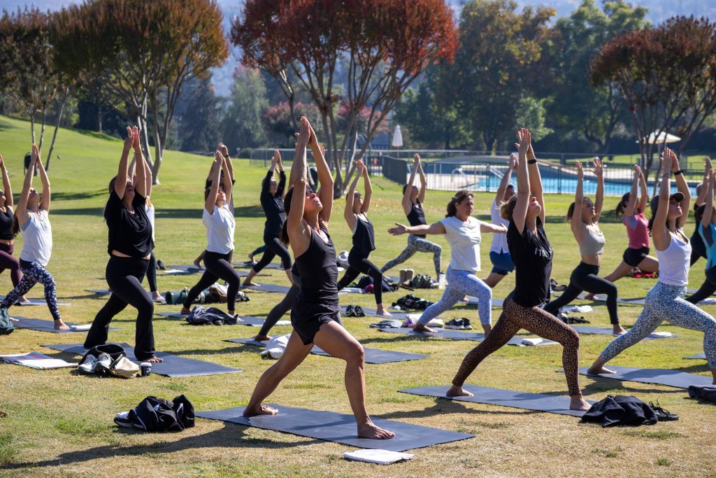 Master de Yoga 2026